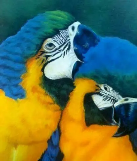 Wild Life Artwork 1